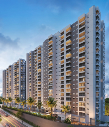 Landscape Pereira Barreto